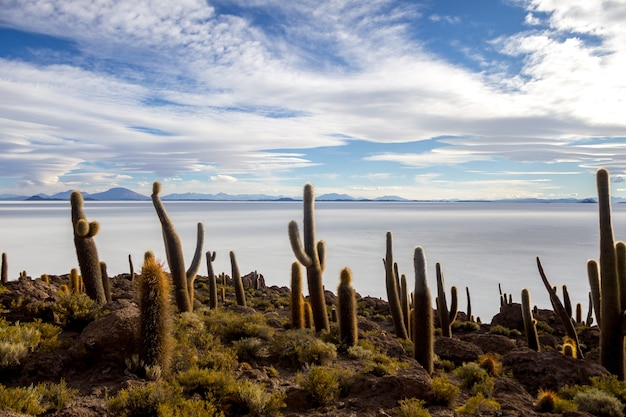Uyuni-kwelder in Bolivia prachtig uitzicht zonsondergangen en zonsopgangen