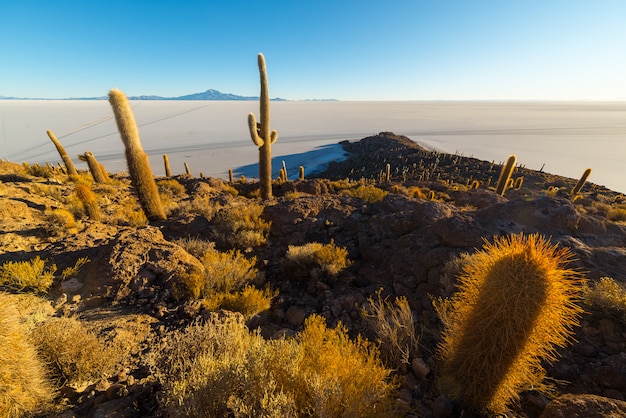 일출 볼리비아 안데스 산맥에 Uyuni 소금 평지