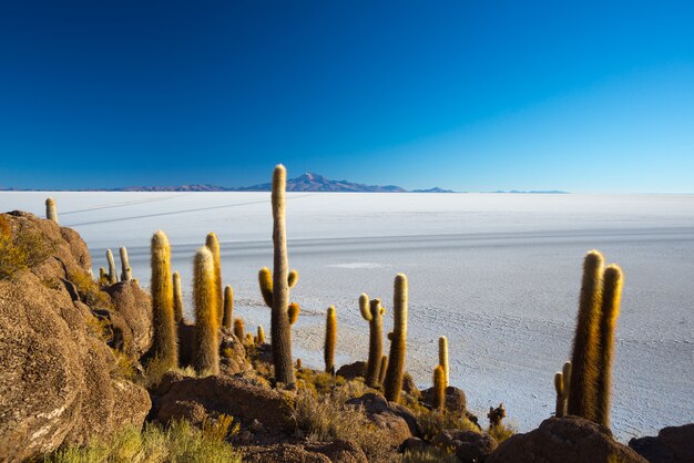 Uyuni-zoutvlakte op de Boliviaanse Andes bij zonsopgang