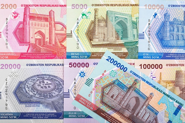 Uzbekistani money a business background