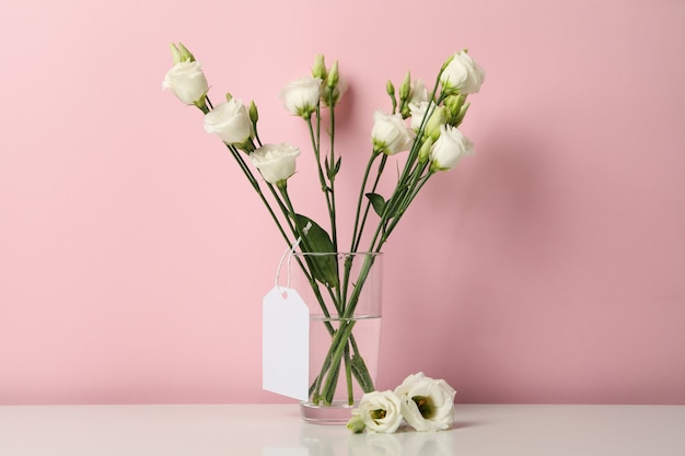 Vaas met rozen en lege tag tegen roze achtergrond