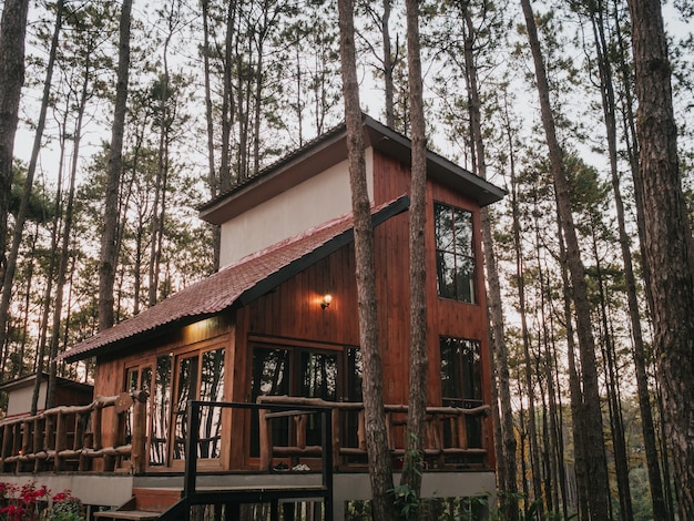 Photo vacation house in pine forest