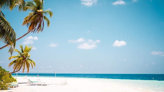 Vacation summer holidays background wallpaper sunny tropical Caribbean paradise beach with white sand in Seychelles Praslin island Thailand style with palms