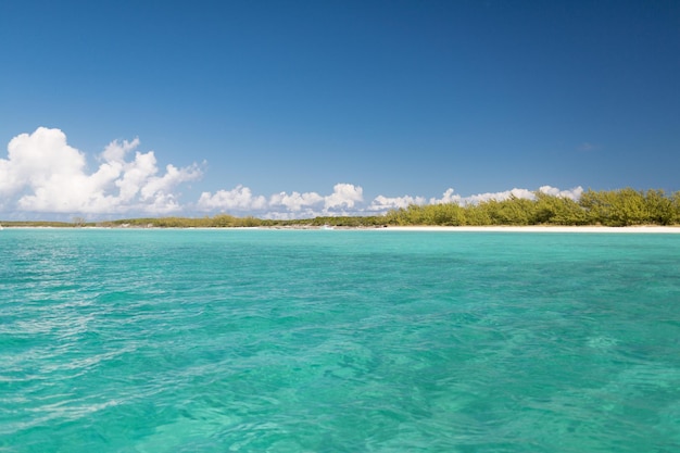 vacation, travel and background concept - blue sea or ocean, beach and forest