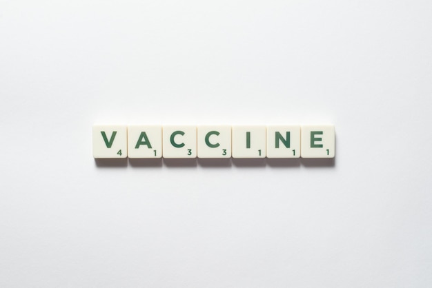 スクラブルブロックで形成されたワクチン