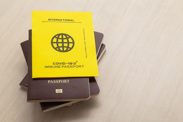 Vaccine passports as proof that the holder has been vaccinated against Covid-19