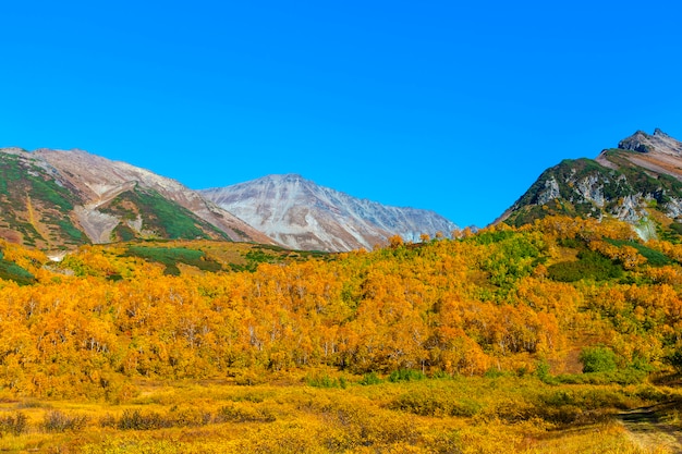 Vachkazhets-vulkaankrater op Kamchatka in de herfst.