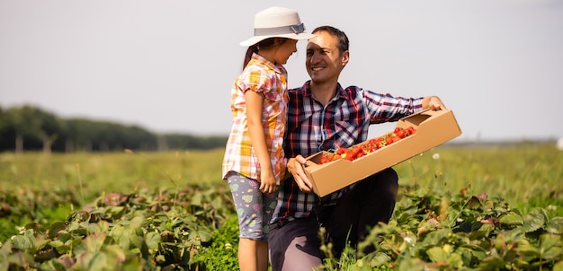 Vader en kind met wilde geplukte aardbeien in de zomer