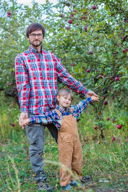 Vader en zoon in de appelboomgaard een gelukkig gezin Familie appels plukken