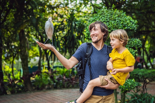 Vader en zoon voeren ibes in het park Kleine zilverreiger Koereiger Bubulcus ibis Waters Edge Familie brengt samen tijd door in het park