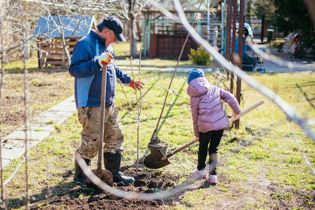 Vader leert zijn dochter hoe ze in het voorjaar een nieuwe boom moet planten