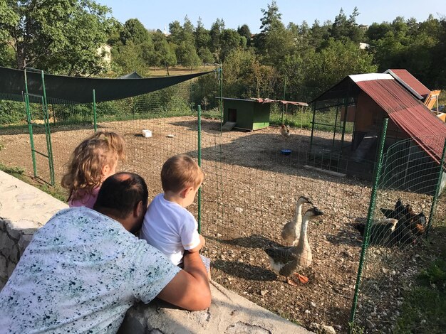 Foto vader met kinderen die vogels in de dierentuin bekijken