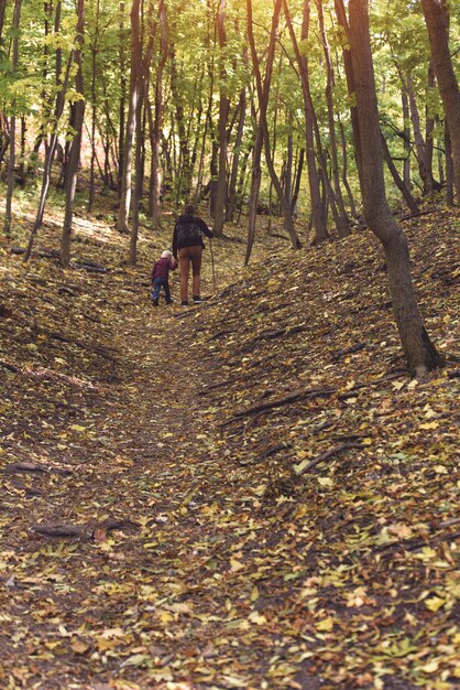 Vader met zoon wandelen in de herfst bos. Achteraanzicht