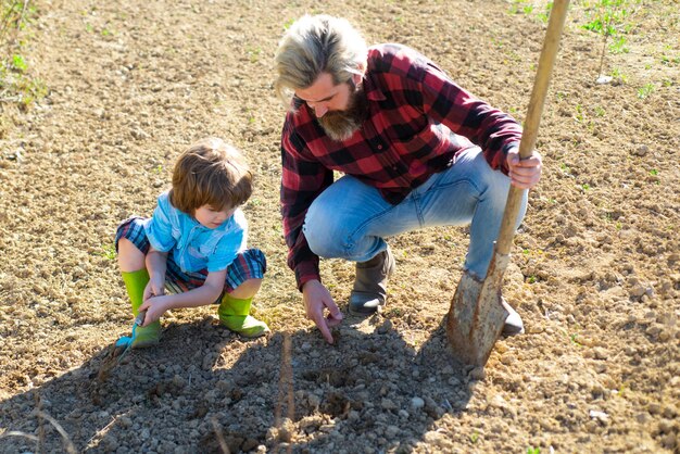 Vader zaait planten met zoon. Papa helpt kind tuinieren in tuingrond. familie tuinman.