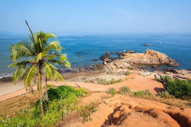Vagator or Ozran beach with palms aerial panoramic view in north Goa, India
