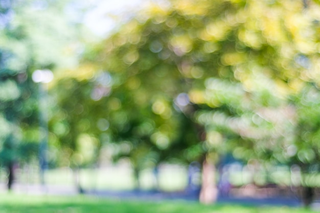 Vage groene aard openluchtachtergrond, de lente en zomer