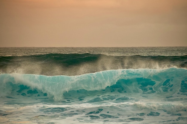 Foto vagues du jour