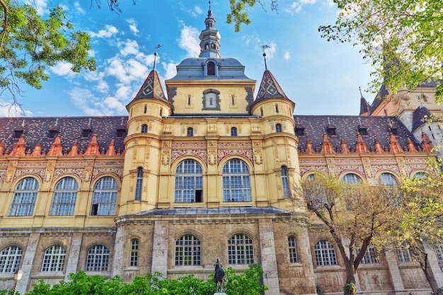 Vajdahunyad Castle (Hungarian-Vajdahunyad vara) is a castle in the City Park of Budapest, Hungary.