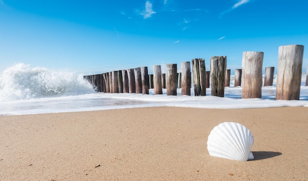 vakantie aan het strand in Domburg, Zeeland, Holland