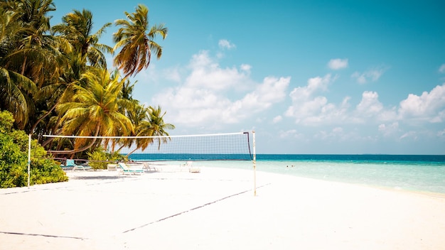 Vakantie zomervakantie achtergrond behang zonnig tropisch Caribisch paradijs strand met wit zand in Seychellen Praslin eiland Thailand stijl met palmen