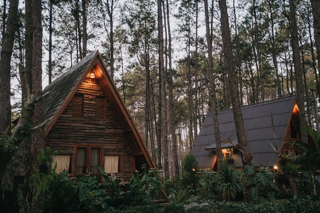 Foto vakantiehuis in dennenbos