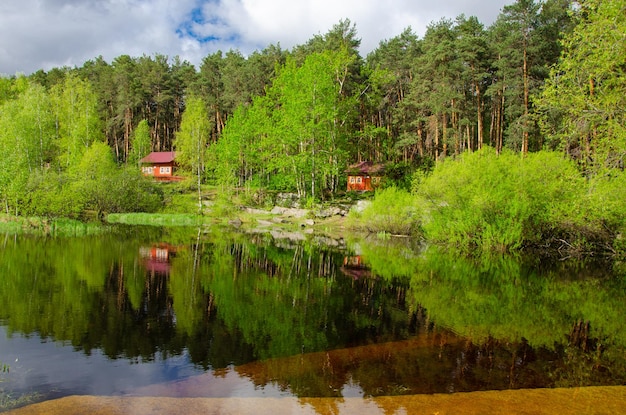 Vakantiehuizen in het bos aan de oever van het meer.