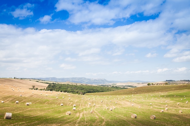 Foto val d'orcia, regione toscana, italia. un tipico paesaggio.