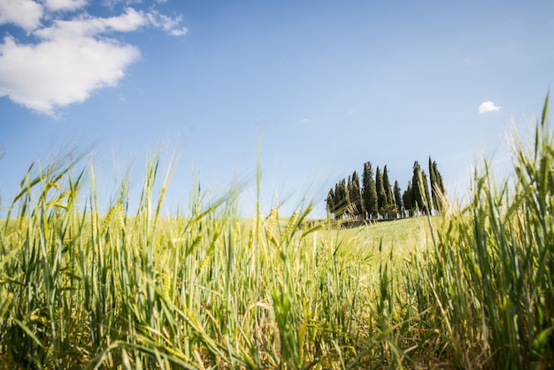 Val D'Orcia, Tuscany