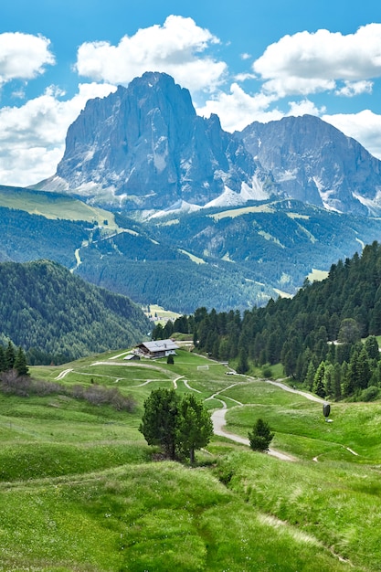 Val Gardena meadow fields and mountains