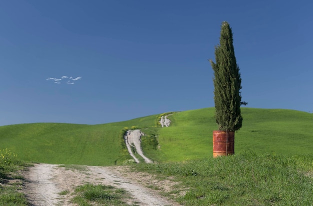 Foto cartolina di valdorcia