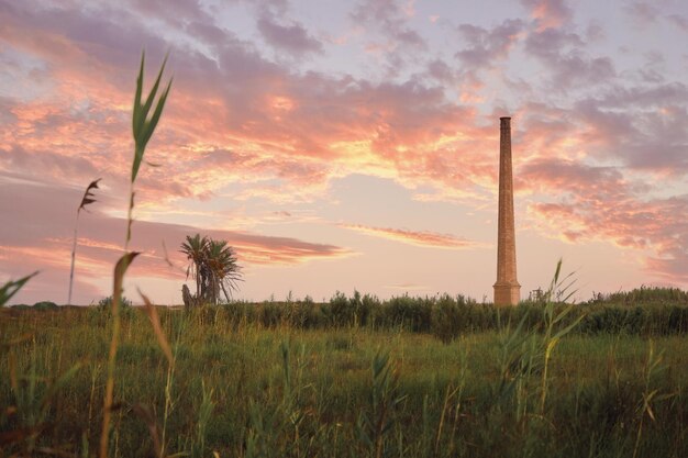 Foto nuvola di erba al tramonto del camino di valencia