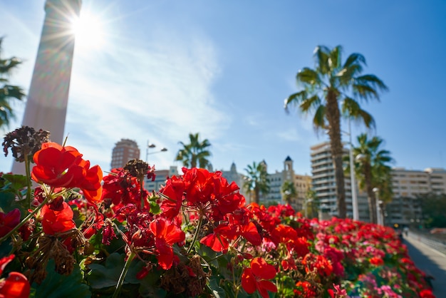 Valencia Puente de las Flores flowers bridge