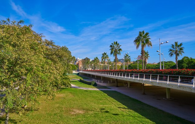 Valencia Puente de las Flores flowers bridge