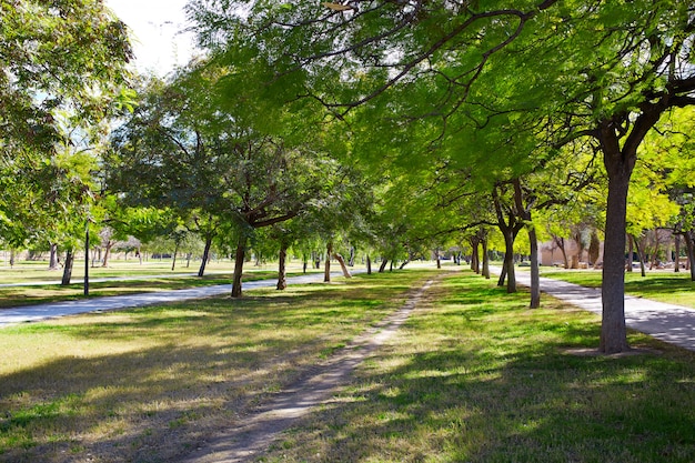 Valencia Turia river park trees and tracks Spain