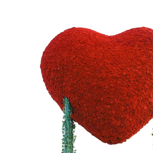 Valentijnsdag gratis afbeelding