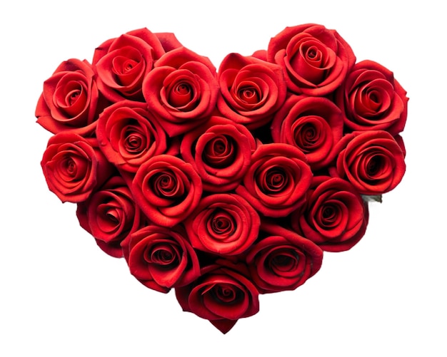 Valentijnsdag hart gemaakt van rode rozen geïsoleerd op witte achtergrond