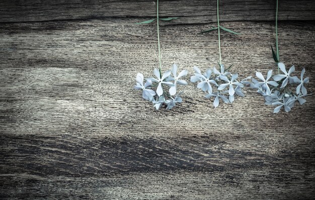 Valentijnsdagbloemen op hout