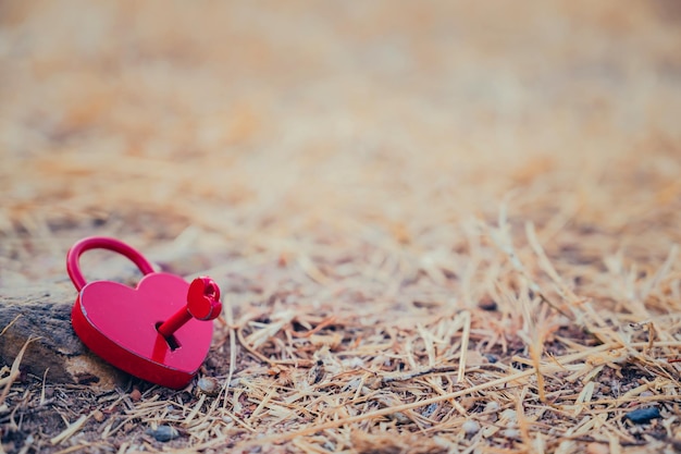 Valentine Day and love concept with heart shaped padlock. Sweetest key and romance symbol for unlock.