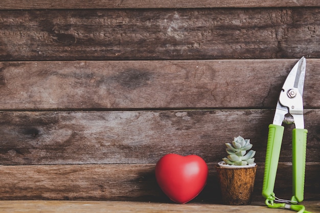 Cuore rosso del biglietto di s. valentino decorato con i vasi del cactus su fondo rustico di legno