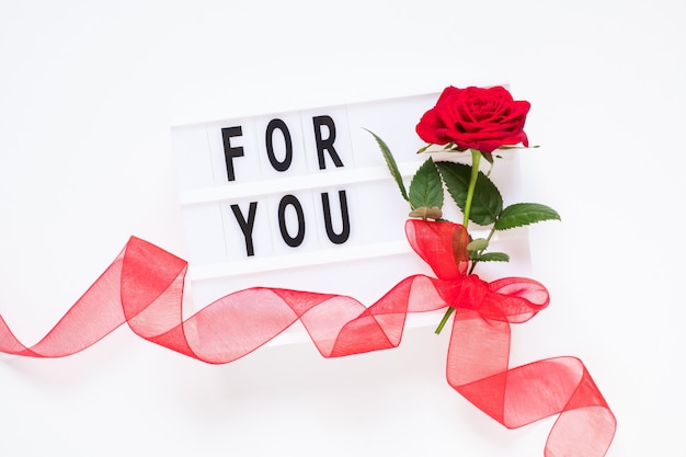 Valentine's day concept fresh red rose flower with ribbon and text for you on lightbox on white background