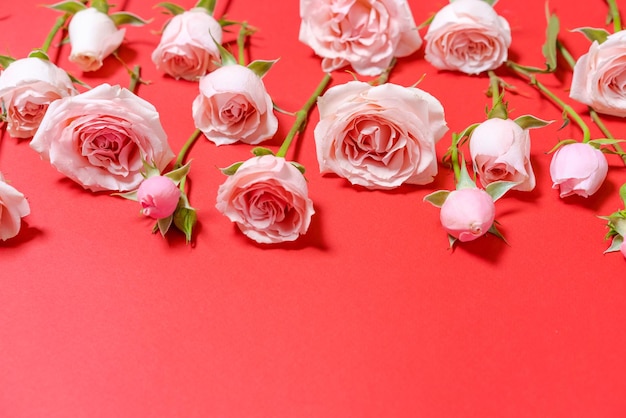 Valentine's Day Flowers composition pink flowers on a red background Women's