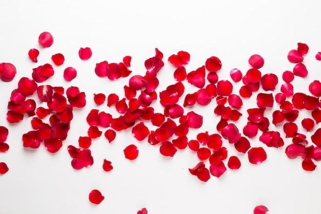 Valentine's Day. Rose flowers petals. Valentines day background. Flat lay, top view.