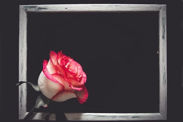 День Святого Валентина розовое сердце с рамкой и копией пространства на черном