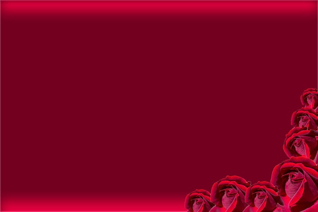 Valentines day background concept design with red roses and copy space