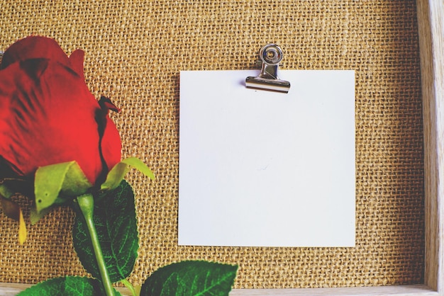 Valentines day background Red rose with message card of Love romantic couple