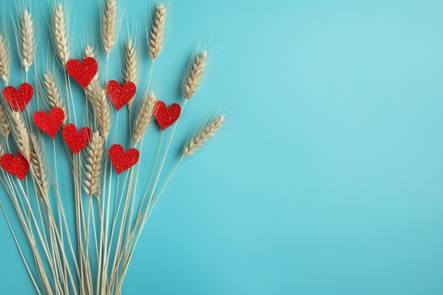 Valentines day background with wheat and red hearts on blue background