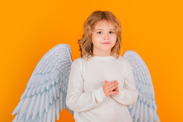 Valentines day Kid with angel wings Studio portrait of angel child on studio color isolated background with copy space