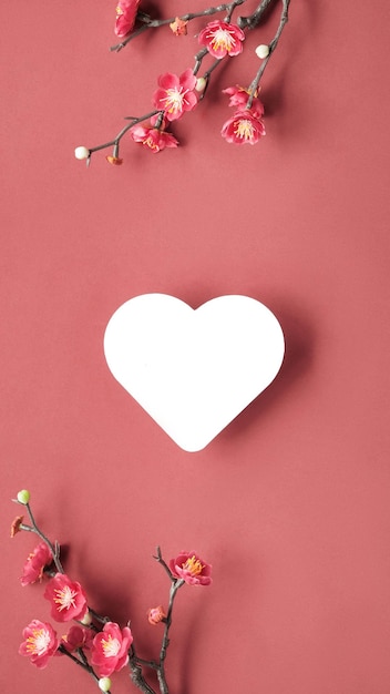 Valentines day simple minimal background Plum flowers twigs with plum blossoms on red paper