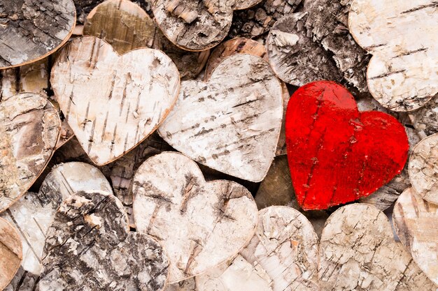 Foto san valentino con cuori.