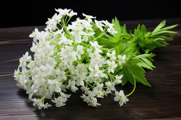 Valerian a perennial plant from Europe and Asia known for its calming effects in traditional medic
